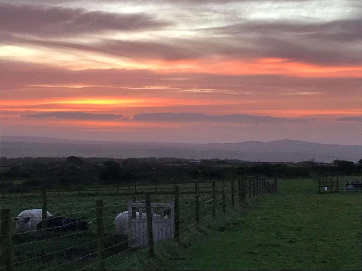 Stunning Views & Sunrises From Sally Saracen Campsite St Ives (Cornwall)