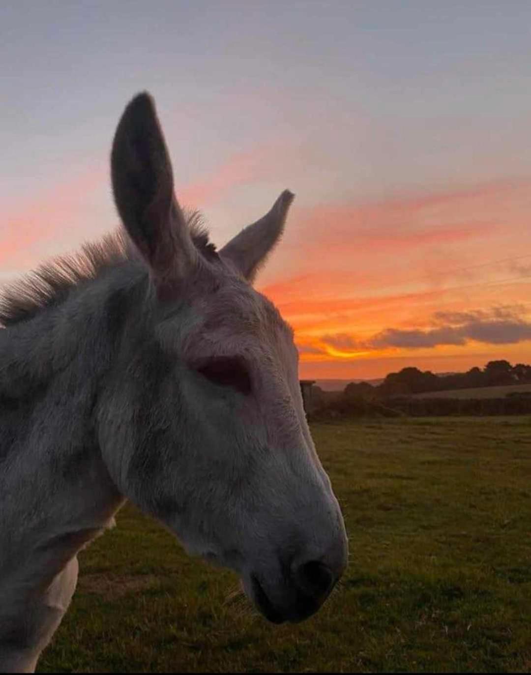 Stunning Views & Sunrises From Sally Saracen Campsite